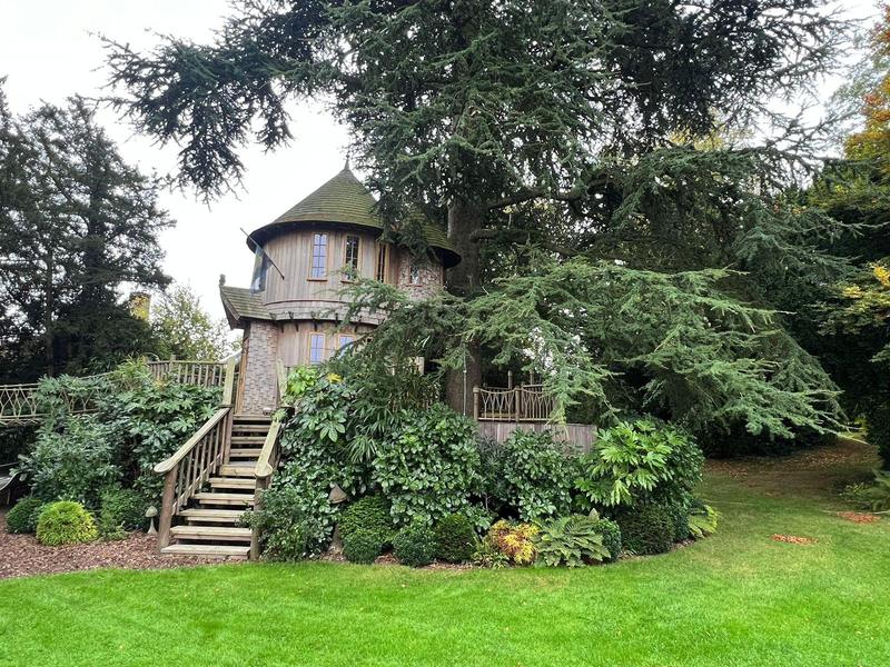 Garden tree house under a cedar with planted beds and lawn