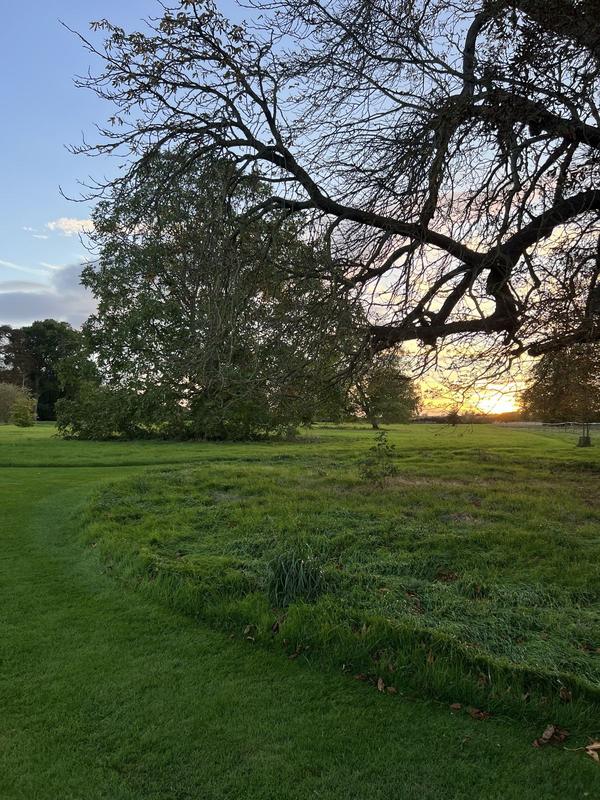 Woodland Management by Haynes Horticulture, Stamford