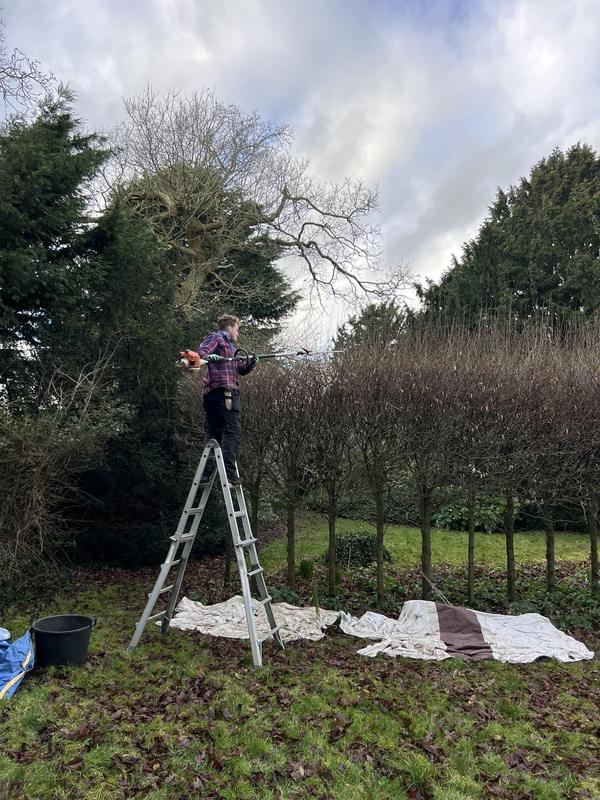 Garden works in progress beside a fence line