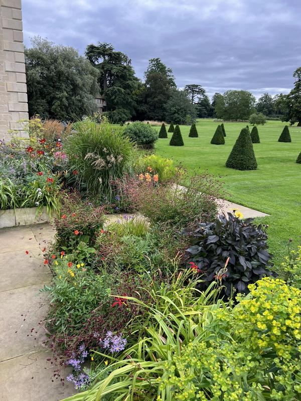 Mixed planted border alongside clipped topiary and lawn