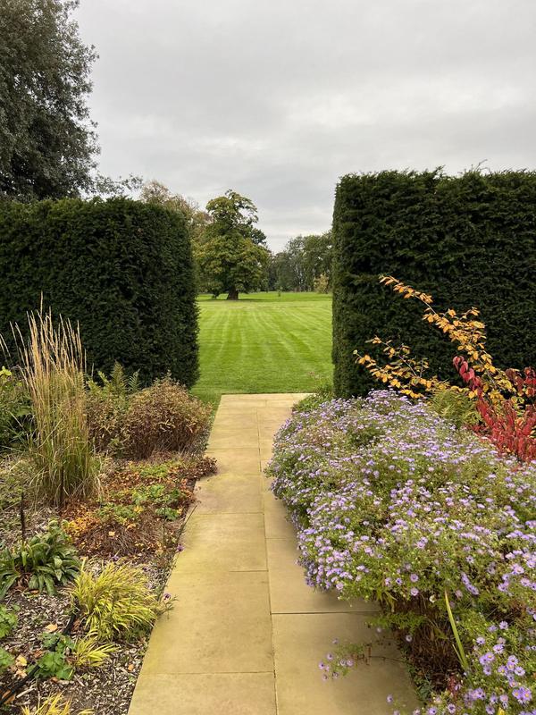 Paved path between clipped hedges and planted borders