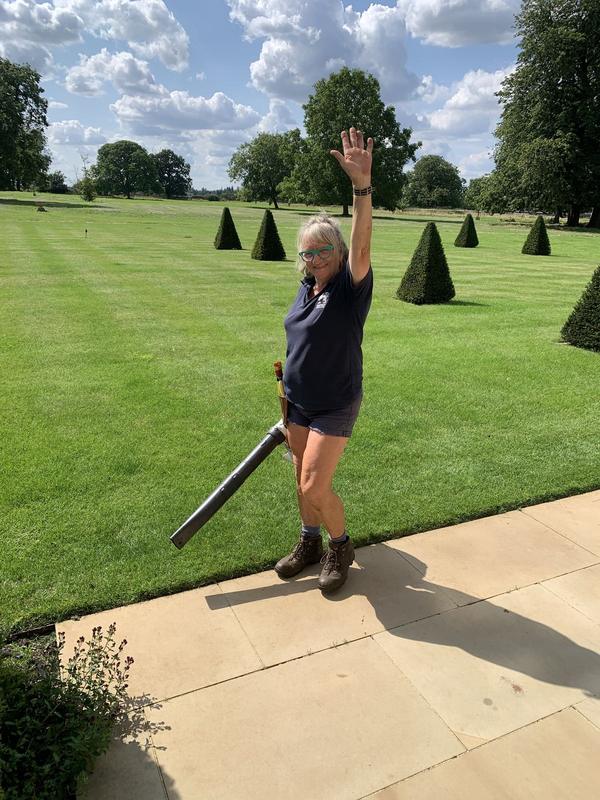 Lawn being mown in stripes beside clipped topiary