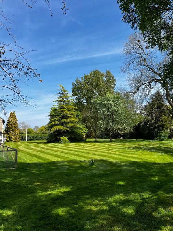 Striped lawn framed by mature parkland trees
