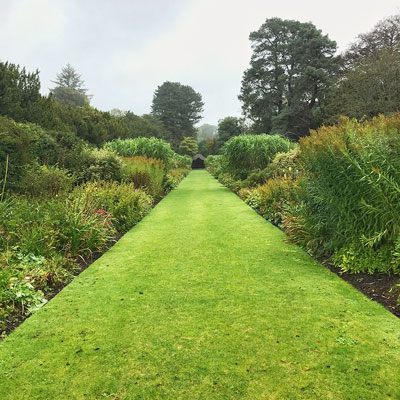 garden maintenance service / grounds maintenance | Haynes Horticulture